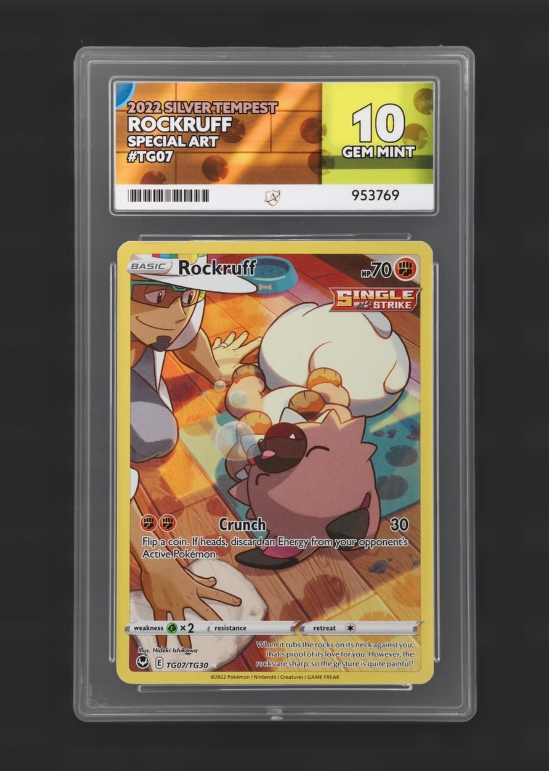 Rockruff TG07/TG30 - Silver Tempest Special Art - ACE 10