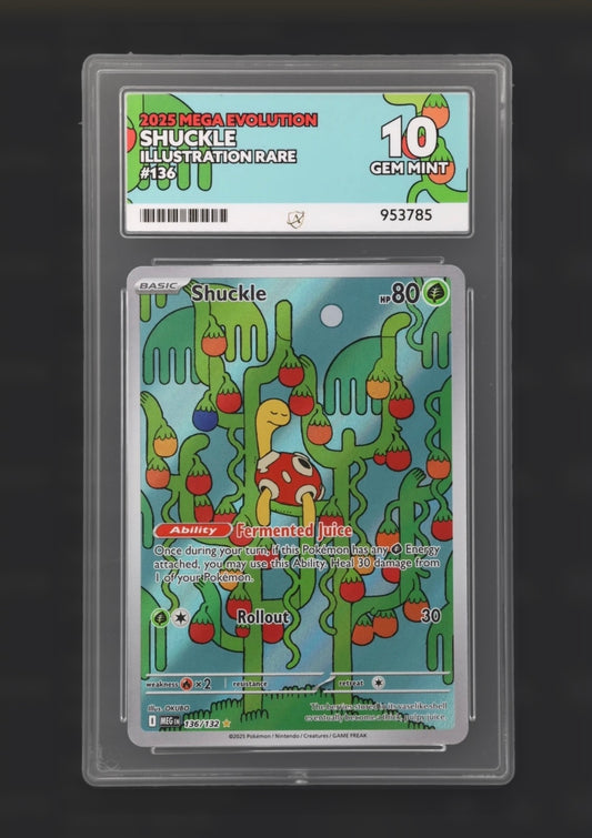 Shuckle 136/132 - Mega Evolution Illustration Rare - ACE 10