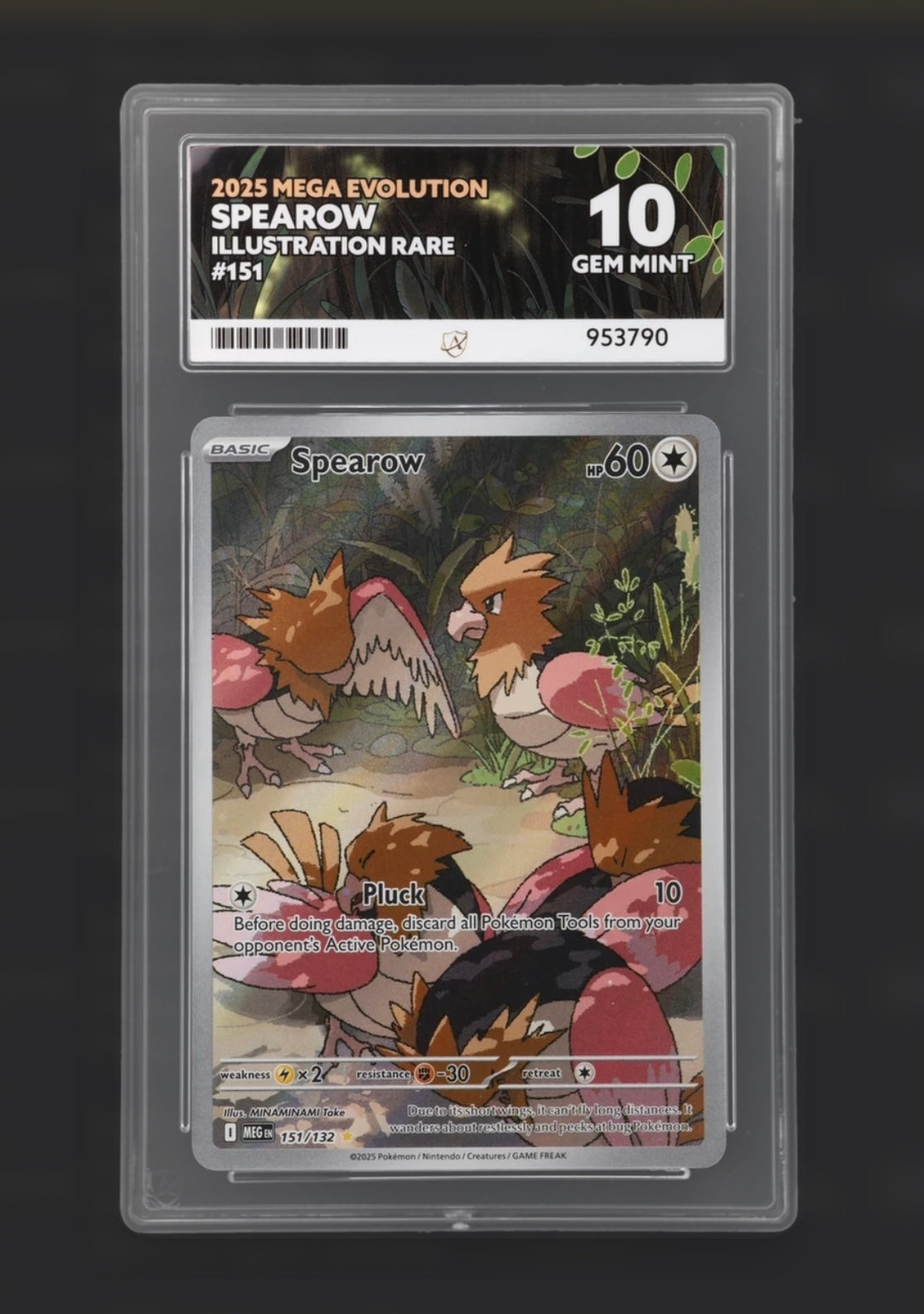 Spearow 151/132 - Mega Evolution Illustration Rare - ACE 10
